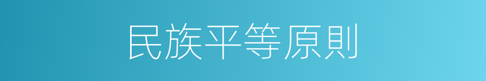 民族平等原則的同義詞