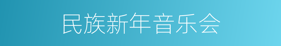 民族新年音乐会的同义词