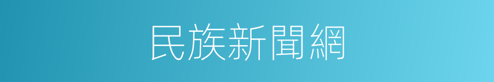 民族新聞網的同義詞