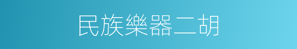 民族樂器二胡的同義詞