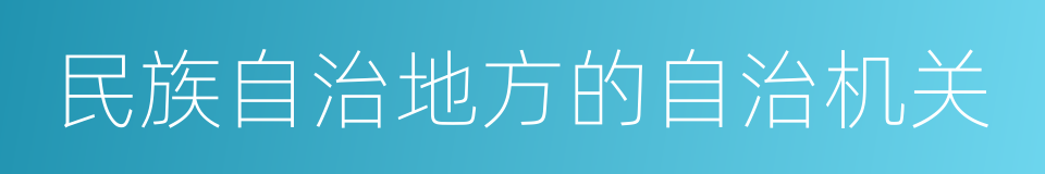 民族自治地方的自治机关的同义词