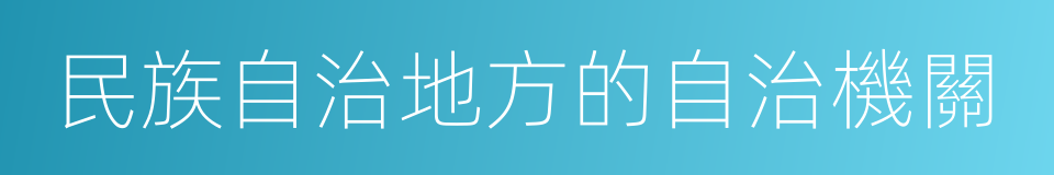 民族自治地方的自治機關的同義詞