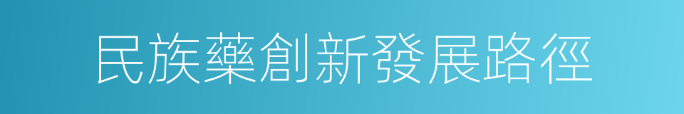 民族藥創新發展路徑的同義詞