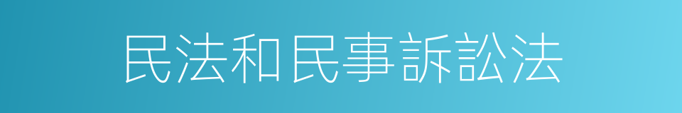民法和民事訴訟法的同義詞