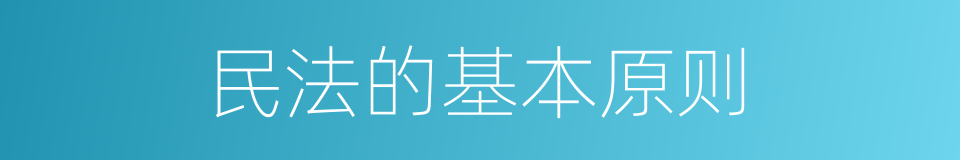 民法的基本原则的同义词