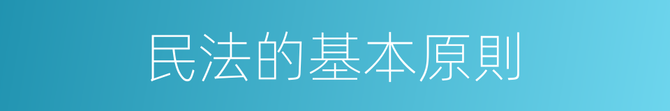 民法的基本原則的同義詞