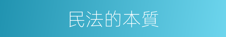 民法的本質的同義詞