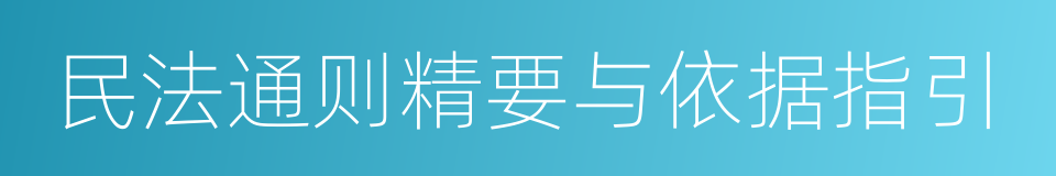 民法通则精要与依据指引的同义词