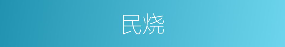 民烧的同义词