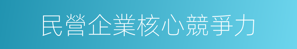 民營企業核心競爭力的同義詞