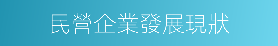 民營企業發展現狀的同義詞