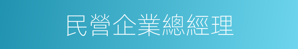 民營企業總經理的同義詞