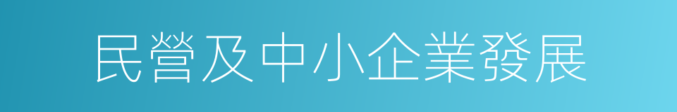 民營及中小企業發展的同義詞