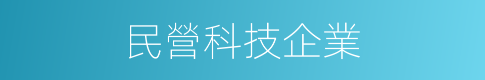 民營科技企業的同義詞