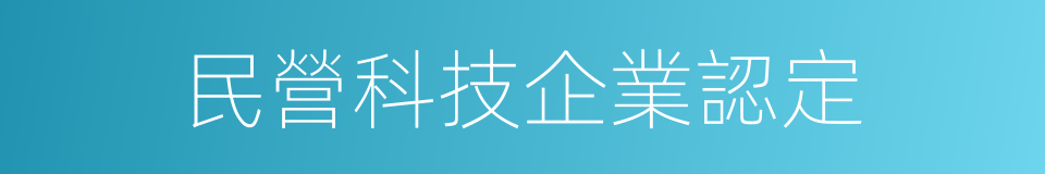 民營科技企業認定的同義詞