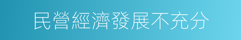 民營經濟發展不充分的同義詞