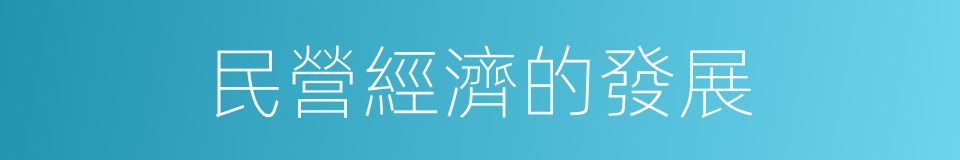 民營經濟的發展的同義詞