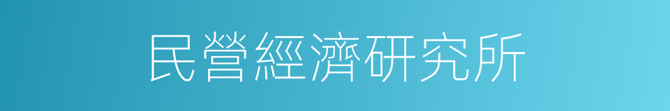 民營經濟研究所的同義詞