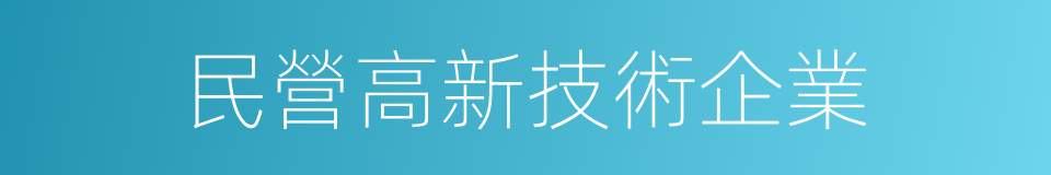 民營高新技術企業的同義詞