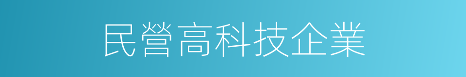 民營高科技企業的同義詞