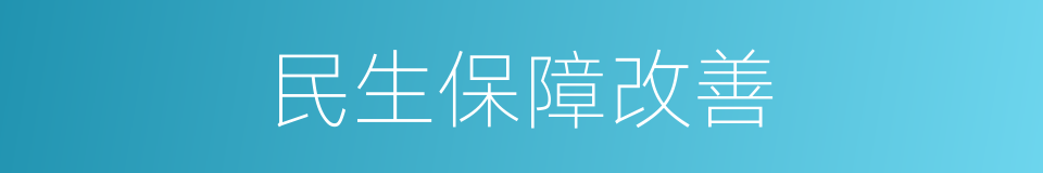 民生保障改善的同义词