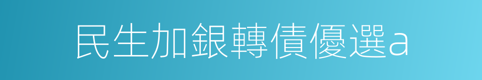 民生加銀轉債優選a的同義詞