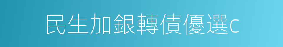 民生加銀轉債優選c的同義詞