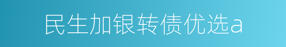 民生加银转债优选a的同义词