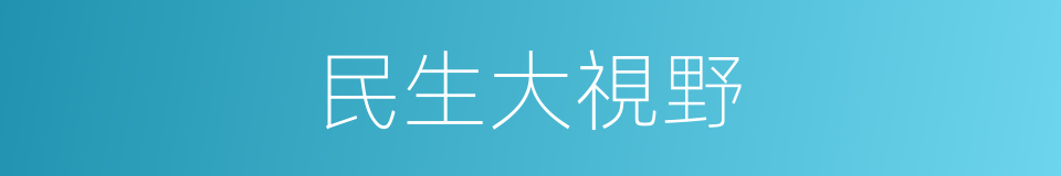 民生大視野的同義詞