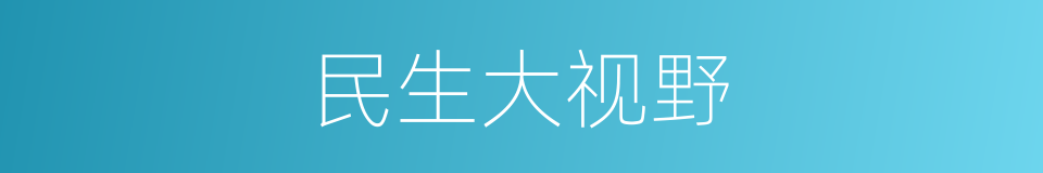 民生大视野的同义词