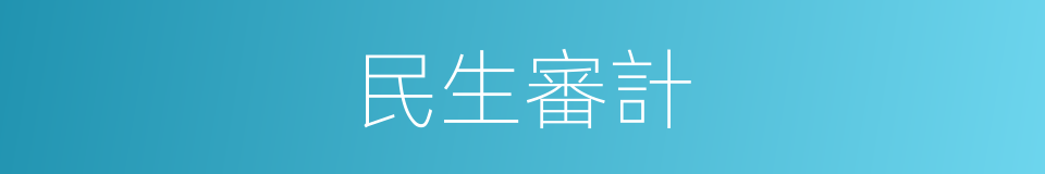 民生審計的同義詞