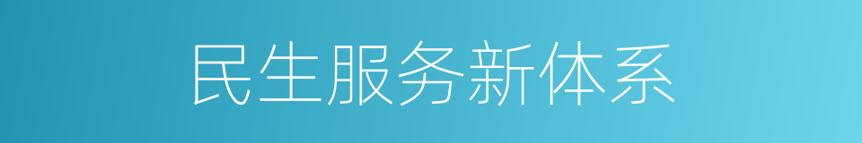 民生服务新体系的同义词