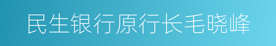 民生银行原行长毛晓峰的同义词