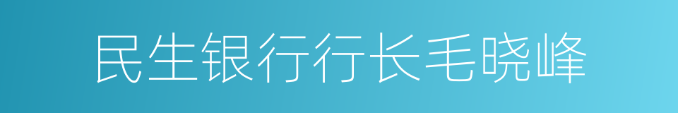 民生银行行长毛晓峰的同义词