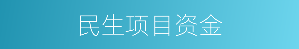 民生项目资金的同义词