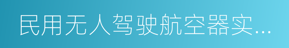 民用无人驾驶航空器实名制登记管理规定的同义词