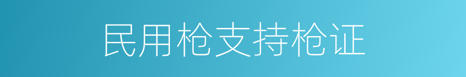 民用枪支持枪证的同义词