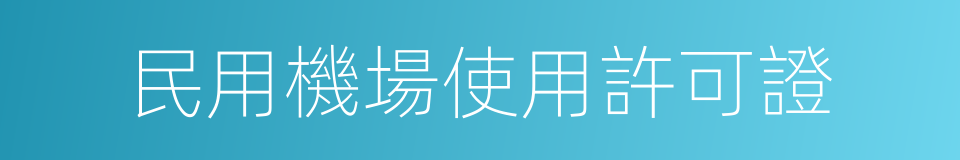 民用機場使用許可證的同義詞