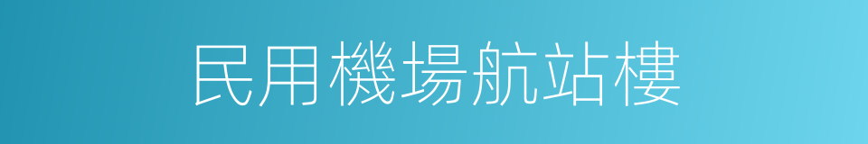 民用機場航站樓的同義詞