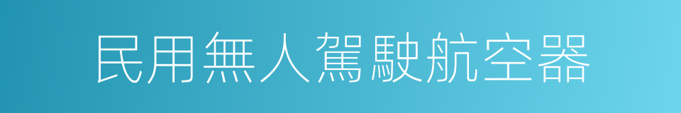 民用無人駕駛航空器的意思