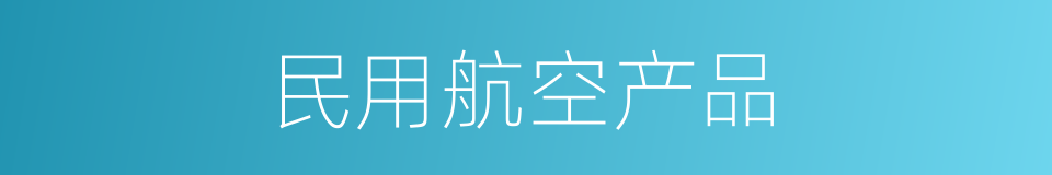 民用航空产品的同义词