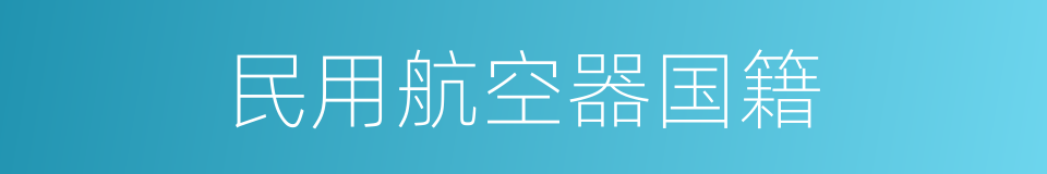 民用航空器国籍的同义词