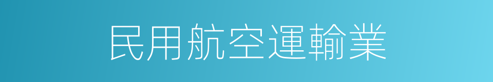 民用航空運輸業的同義詞