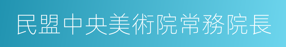 民盟中央美術院常務院長的同義詞