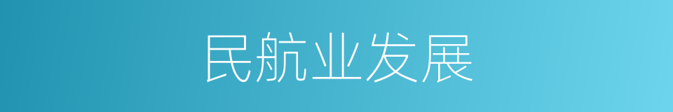 民航业发展的同义词