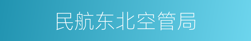 民航东北空管局的同义词