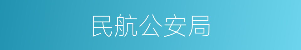 民航公安局的同义词