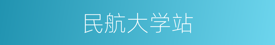 民航大学站的同义词