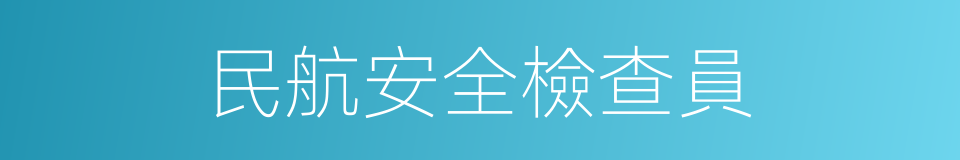 民航安全檢查員的同義詞