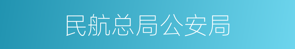 民航总局公安局的同义词